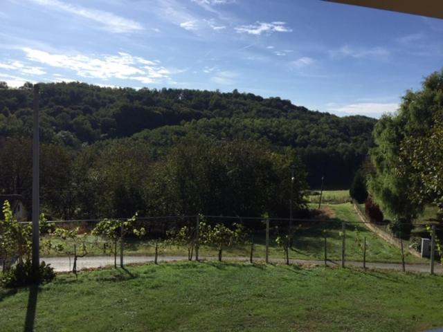 Kuca Za Odmor "Nedeljko"/ Holliday Hause "Nedeljko" Villa Sveti Martin Na Muri Luaran gambar